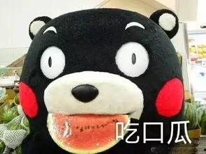 吃瓜看剧原声在线听免费,尽在在线音乐盛宴  第1张