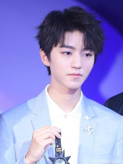 成毅娱乐八卦爆料,揭秘明星背后的故事与争议  第3张