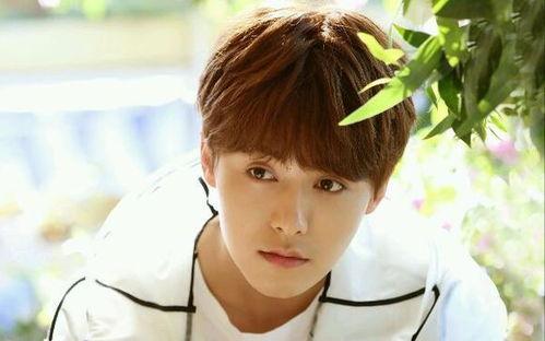 爆料马天宇的人是谁呀视频,真相背后引热议 第1张 爆料马天宇的人是谁呀视频,真相背后引热议 第1张